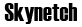 Skynetch Logo